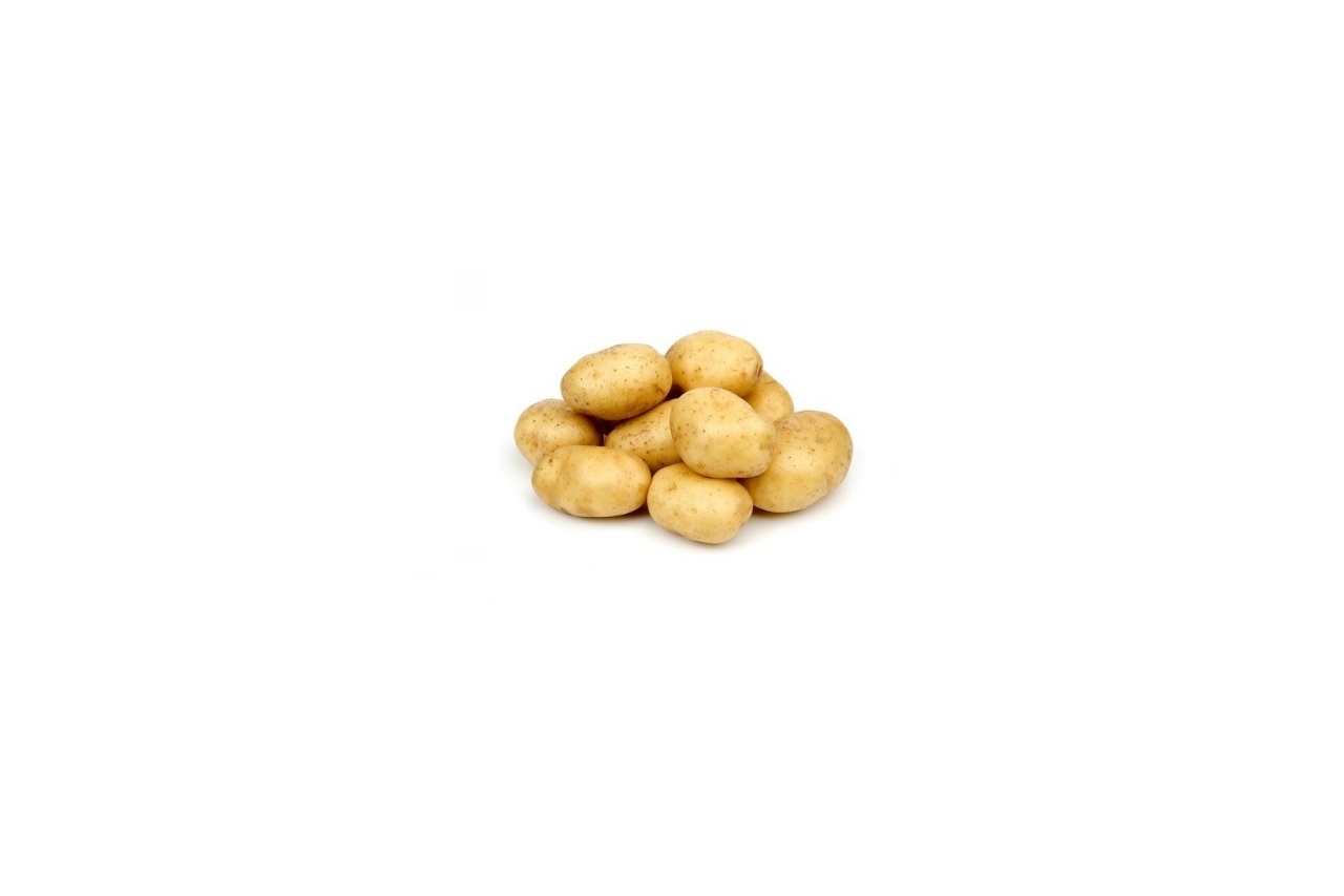 Potato